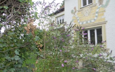 einzigartige Stadtvilla im Herzen von Pasing